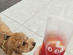 -CoCo都可(岱山店)