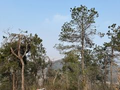 -青龙山国家森林公园