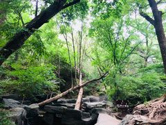 -大青沟风景区