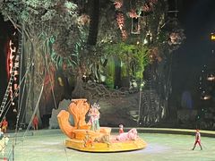 -广州长隆国际大马戏