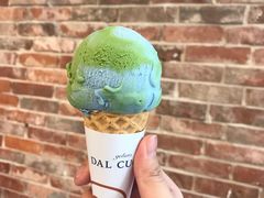 燕麦地球-Dal Cuore 达可芮冰淇淋(陕西北路店)