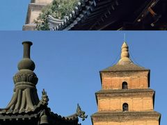 -福苗小骆驼烧烤(大唐不夜城店)