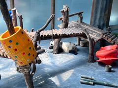 -青藏高原野生动物园