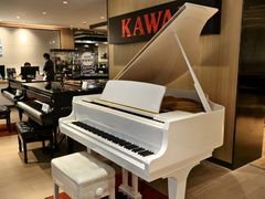 -柏斯音乐艺术中心·钢琴·吉他(上音店)