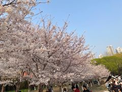 -泰丰公园
