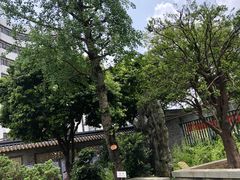 -碧江金楼