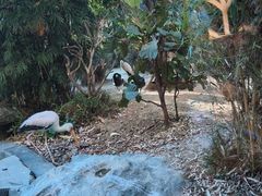 -熊猫自助餐厅.萌趣城堡(长隆熊猫酒店)