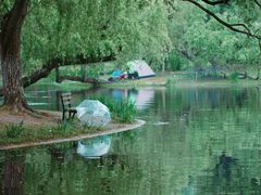 -上海共青森林公园