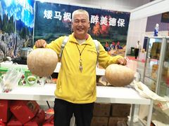 -南宁国际会展中心(会展东博文化旅游区)