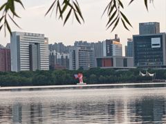 -天鹅湖体育公园