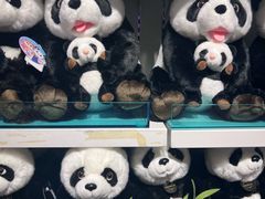 -广州长隆国际大马戏