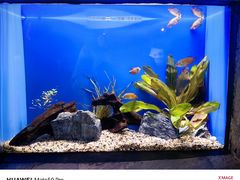 -上海海洋水族馆