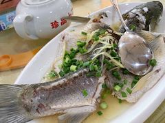 -区海鸡场饭店(石壁店)