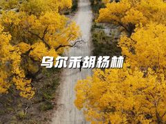 -赛里木湖风景名胜区