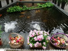 -百丈园(陈村店)