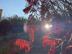 -小绿谷公园