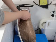 -艾贝尔宠物医院 ·中兽医·宠保定点(北门桥店)