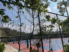 -梧桐山风景名胜区