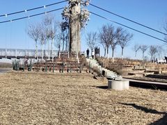 -西青郊野公园