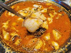 -蓉城鱼馆•活鱼现做(六道湾店)