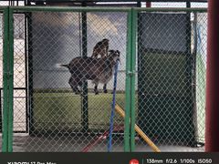 -秦皇岛野生动物园