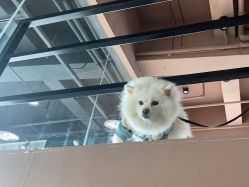-ITSME舞蹈工作室
