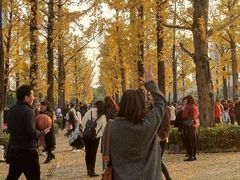 -两江幸福广场