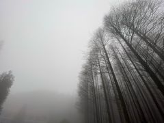 -山王坪喀斯特国家生态公园