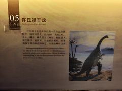 -广东省博物馆