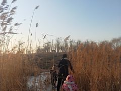 -丁香湖公园