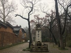 -灵谷景区