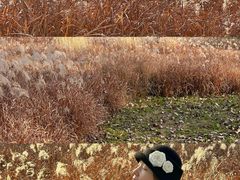 -汉长安城未央宫国家考古遗址公园