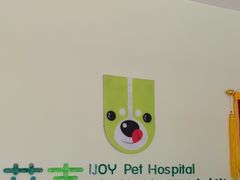 -艾吉宠物医院·疑难杂症转诊中心·猫友好(碧江路院)
