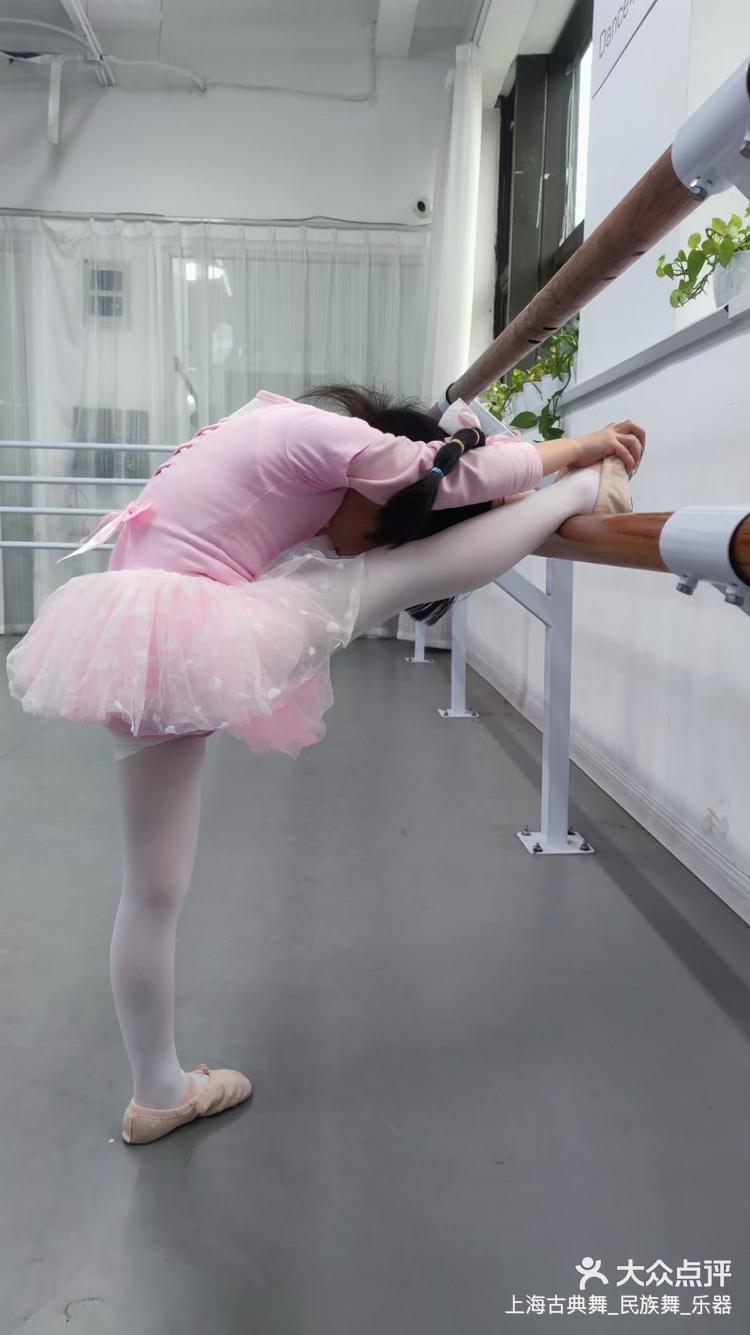 少儿中国舞少儿舞蹈女孩子学舞蹈