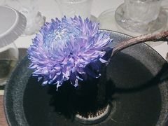 -大拙里·精致融合菜(沙湖桃源国际店)