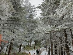 -峨眉山风景名胜区
