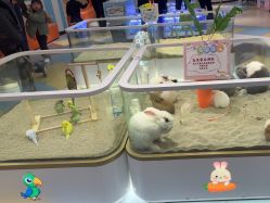 -meland亲子乐园•派对•研学(苏州悠方购物中心店)