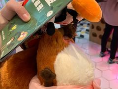 -LLJ夹机占(清河万象汇店)