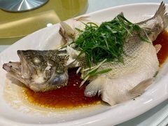 清蒸鲈鱼-周锦记广式餐厅(格林生活坊2期店)