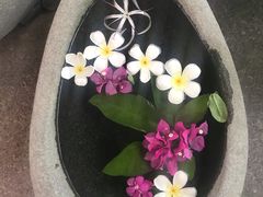 -100蛋泥浆浴