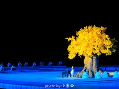 -鼎盛王朝康熙大典实景演出