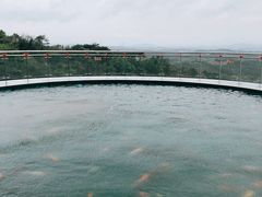 -牛鱼嘴原始生态风景区