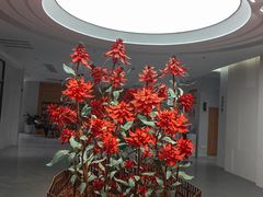 -泉州市鲤城区图书馆