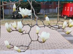 -首都师范大学(良乡校区)