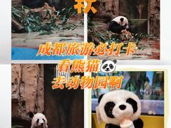 -成都动物园