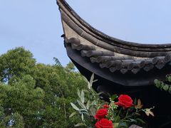 -万景茶庄·台州菜