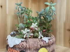 -一心甜汤(丹凤街店)