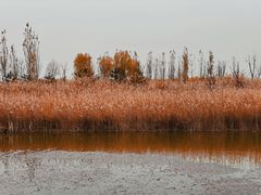 -野鸭湖国家湿地公园