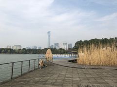 -金鸡湖桃花岛