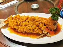 -百味地锅鸡(二店·财校分店)